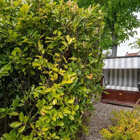 Stylisch-wohnen-in-wyk-ferienhaus-mal-huus * Wyk auf Föhr
